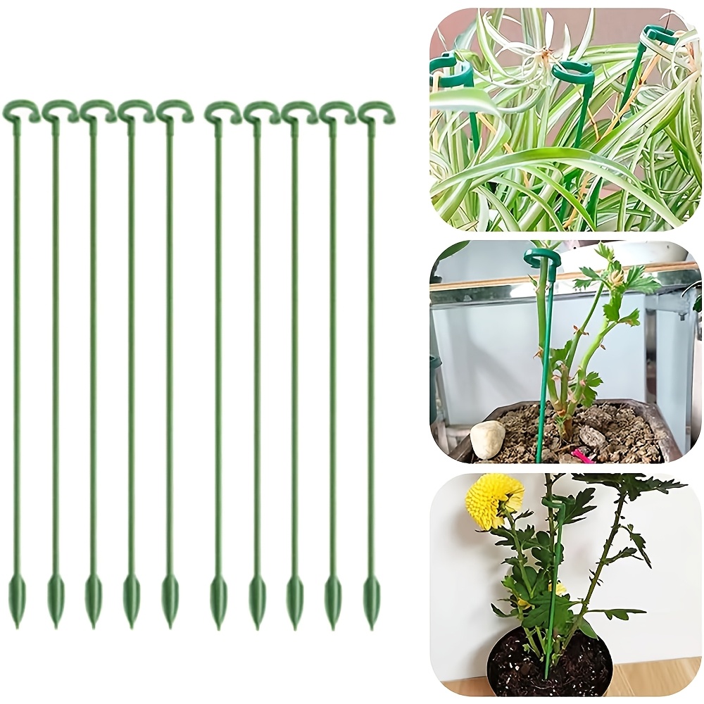 Monstera Thai Constellation - ขาตั้งพยุงต้นไม้ 5/10 ชิ้น สำหรับต้นกล้วยไม้ ดอกไม้ ต้นไม้ในกระถาง