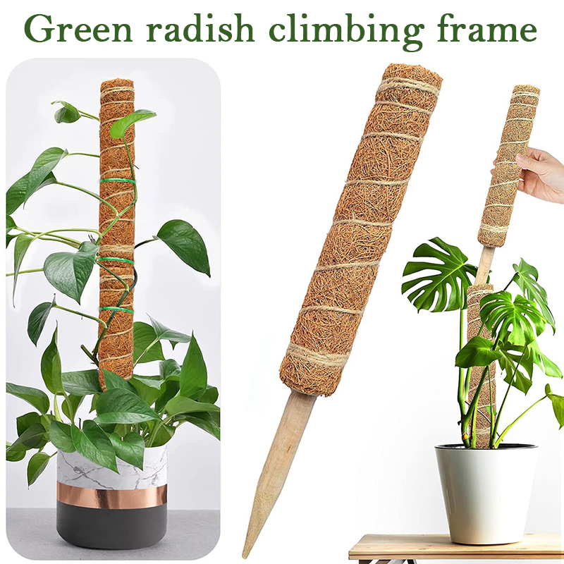 Monstera Thai Constellation - เสาต้นมะพร้าวสำหรับพืชเลื้อยขนาด 30/40/50 ซม. ปลอดภัยสำหรับการปลูกพืช ไม้เลื้อย และพืชคล้อง