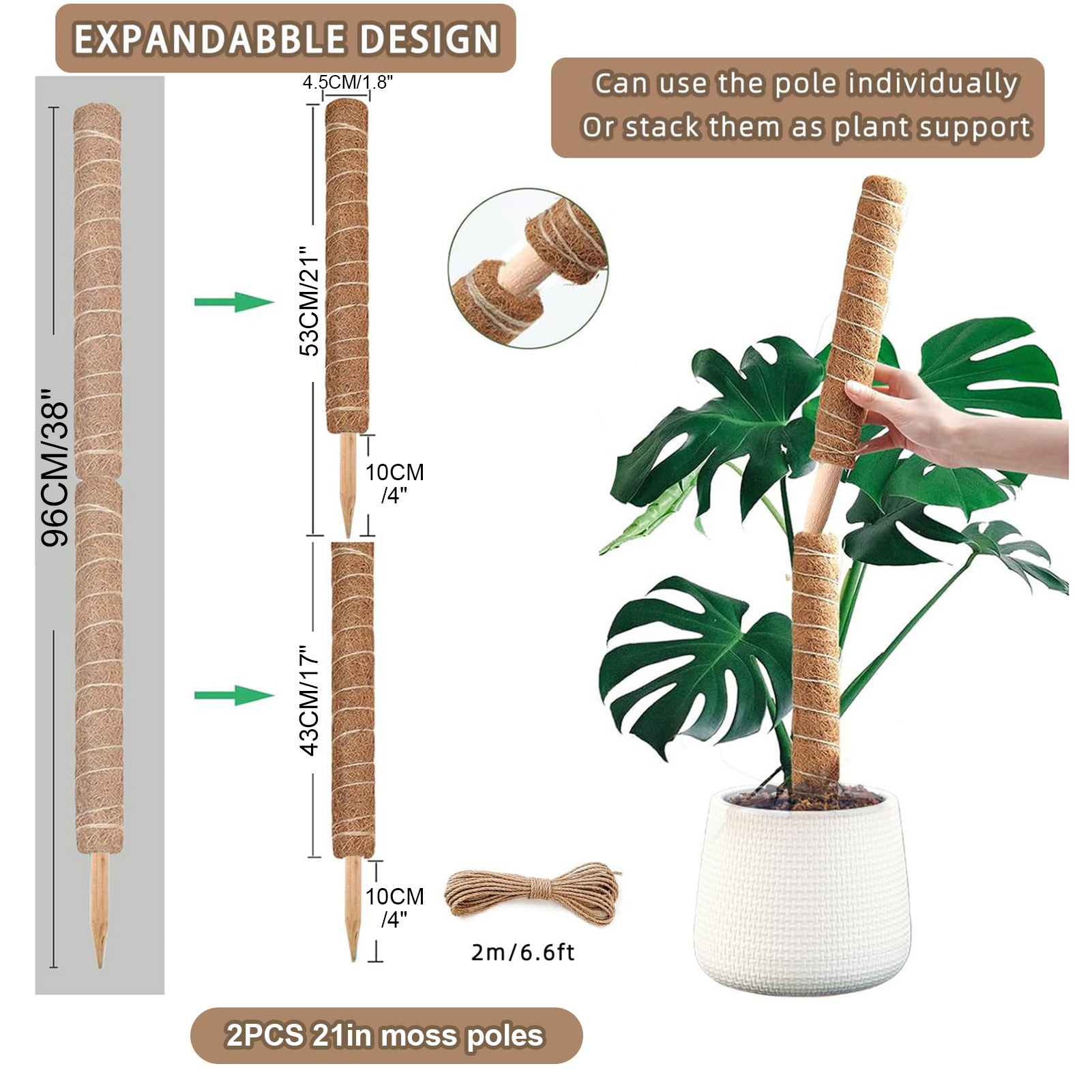 เสาไม้เลื้อย 38/43/53 ซม. สำหร - Monstera Thai Constellation บทวิจารณ์และราคา