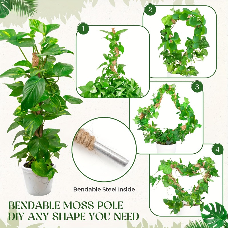 เสาไม้เลื้อยแบบโค้งงอได้ สำหรั - Monstera Thai Constellation บทวิจารณ์และราคา