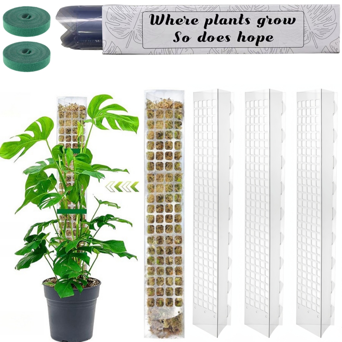 MOSS POLE พลาสติกยืนในร่มพืชปี - Monstera Thai Constellation บทวิจารณ์และราคา