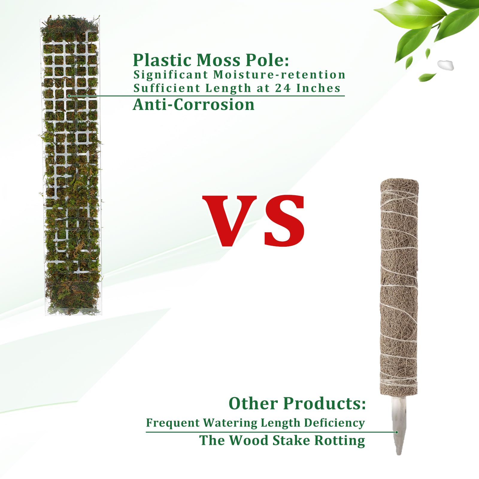MOSS POLE พลาสติกยืนในร่มพืชปี - Monstera Thai Constellation บทวิจารณ์และราคา