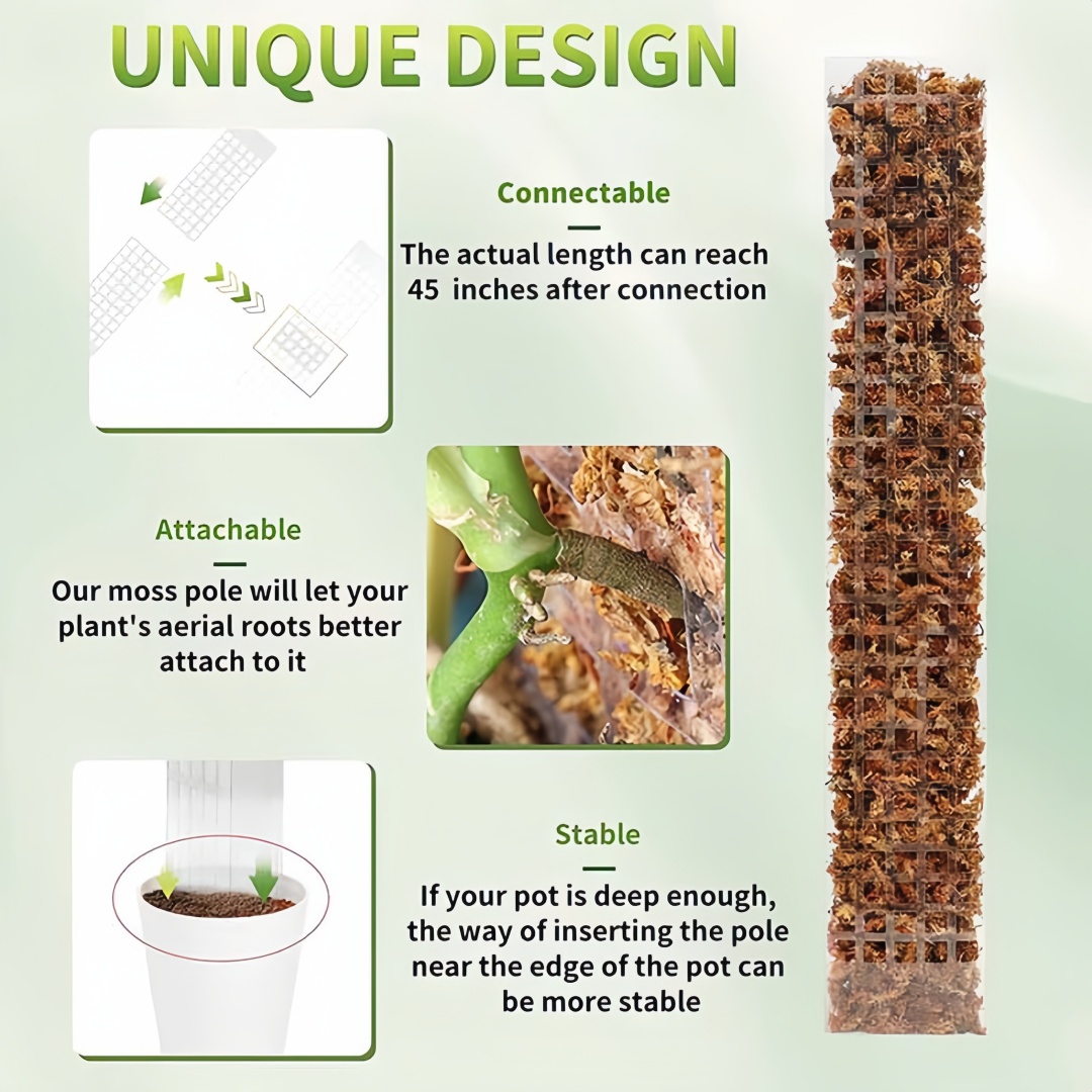 MOSS POLE พลาสติกยืนในร่มพืชปี - Monstera Thai Constellation บทวิจารณ์และราคา