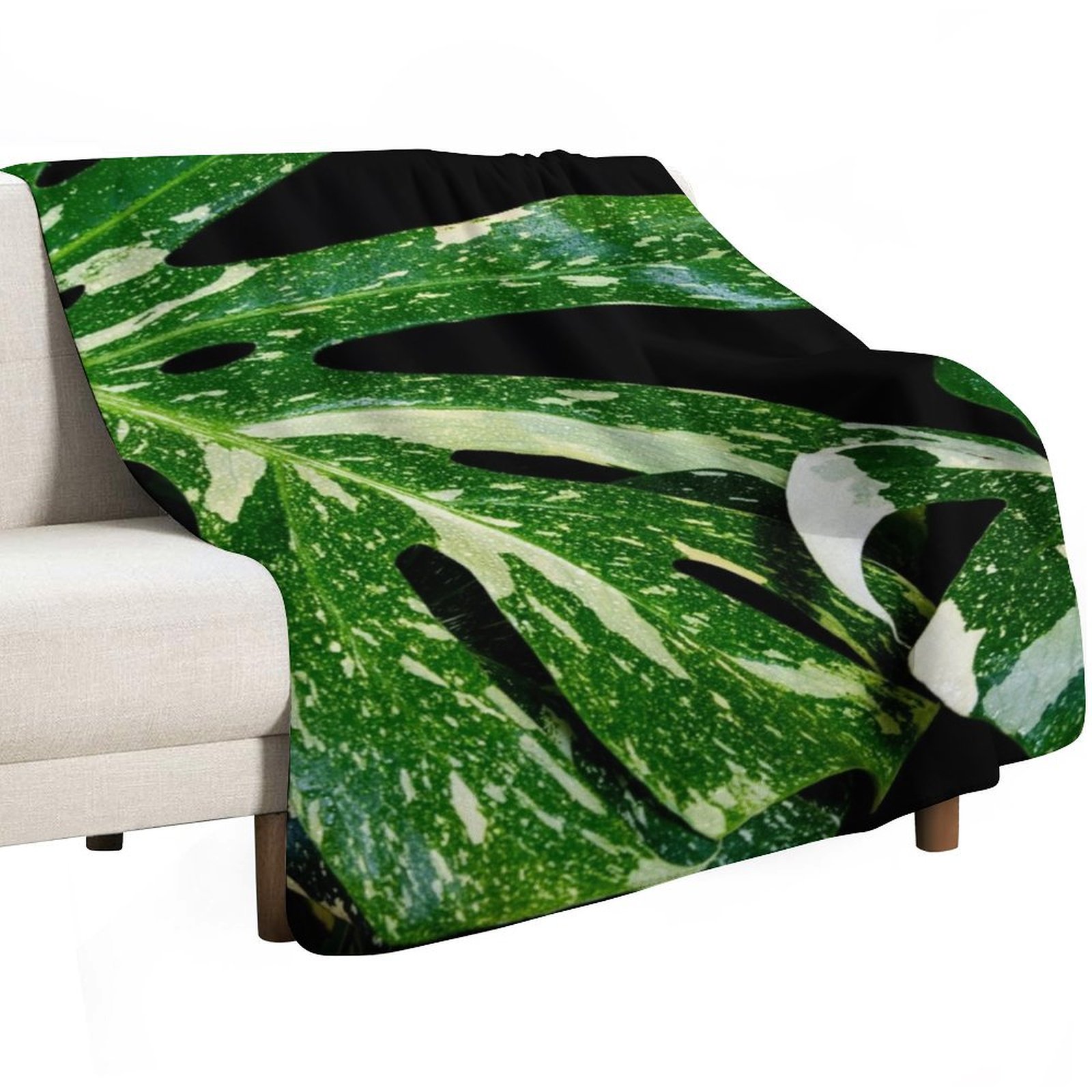 ผ้าห่มลายมอนสเตอร่า กลุ่มดาวไท - Monstera Thai Constellation บทวิจารณ์และราคา