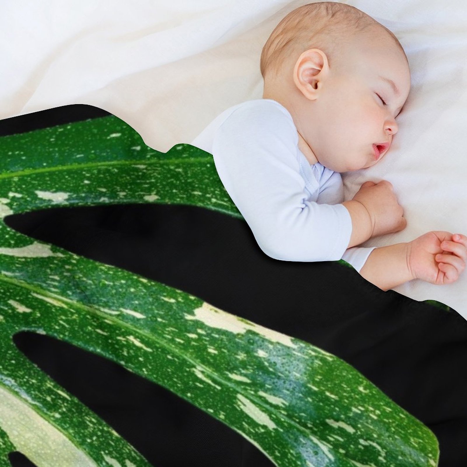 ผ้าห่มลายมอนสเตอร่า กลุ่มดาวไท - Monstera Thai Constellation บทวิจารณ์และราคา