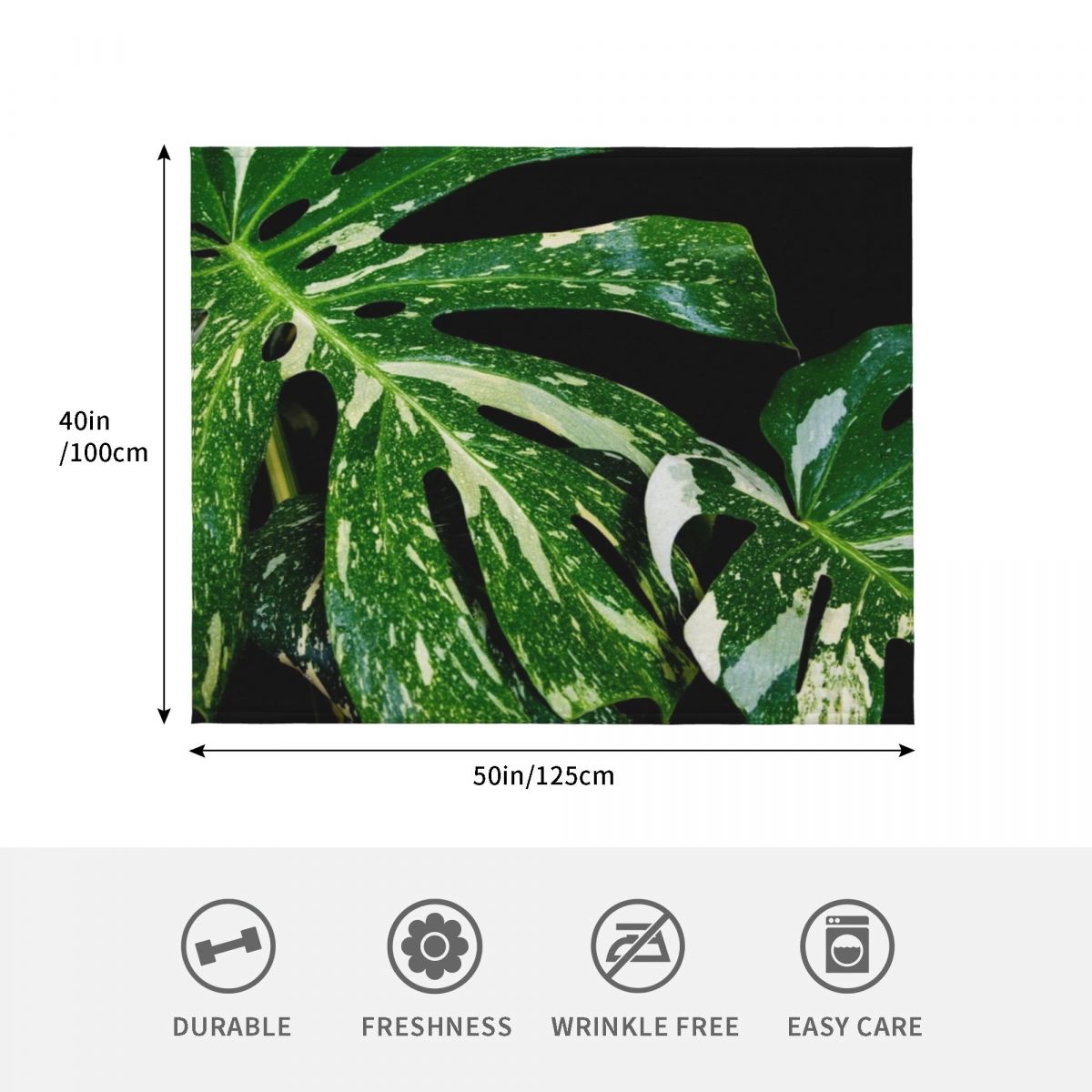 ผ้าห่มลายมอนสเตอร่า กลุ่มดาวไท - Monstera Thai Constellation บทวิจารณ์และราคา