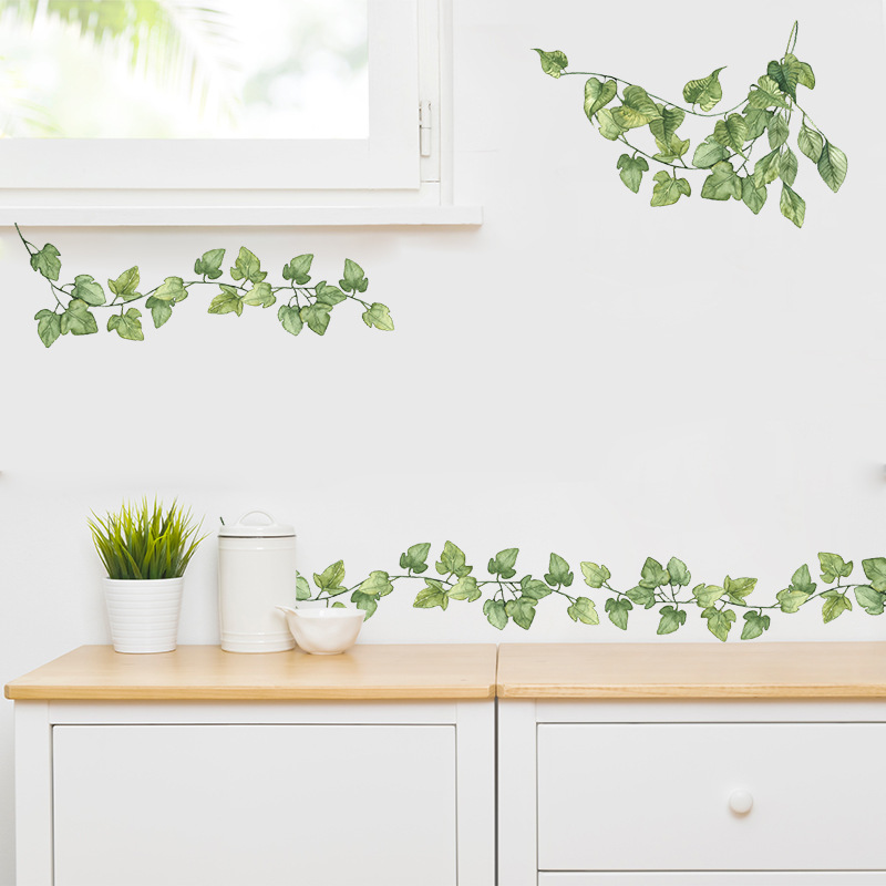 1pcs สีเขียวสดขนาดเล็กใบห้องนอ - Monstera Thai Constellation บทวิจารณ์และราคา